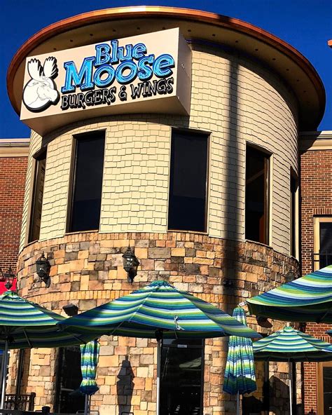 Blue moose pigeon forge - Blue Moose Burgers & Wings is the place to catch all the action of the Big Game! Come to the Moose to cheer on your team and enjoy our jumbo chicken wings, mouth watering burgers, ice cold beer and...